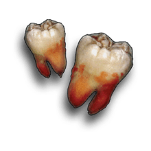 human-teeth-junk-item-wasteland-3-wiki-guide-200px