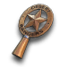 Ranger Star Ornament
