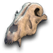 Wolf Skull Ornament